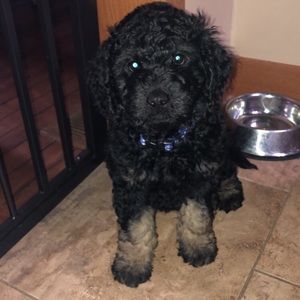 Meet your Posher, Cassie